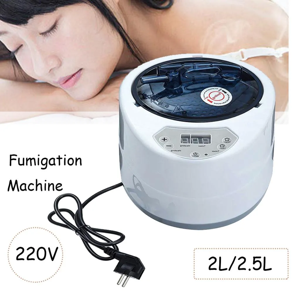 CE Certified Computer Controlled Wet Steam Generator with Acrylic Material For Body Therapy