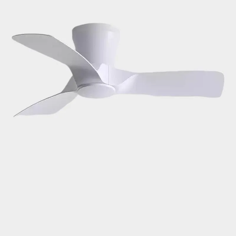 Crittenden | Low Profile Ceiling Fan