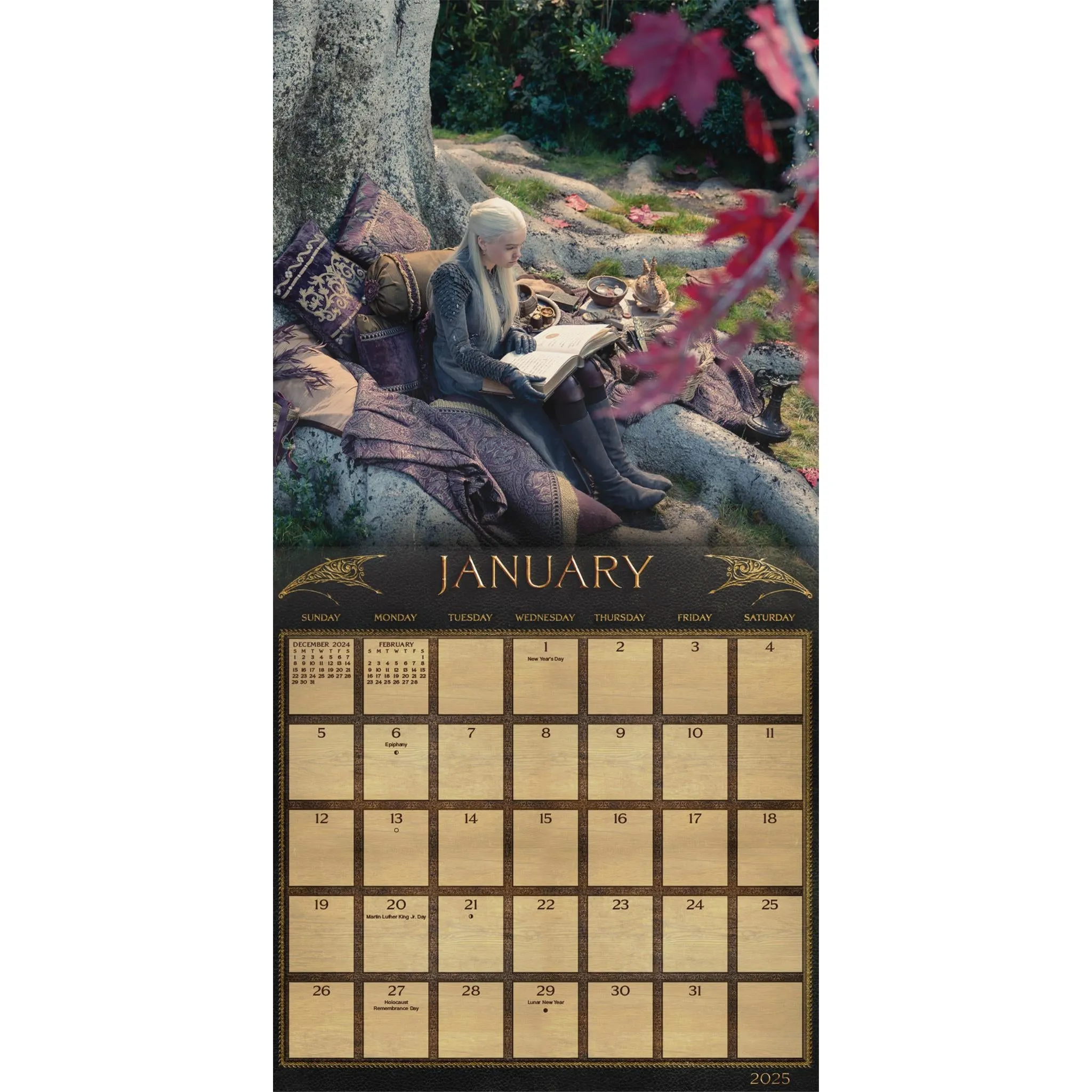 Game Of Thrones House Of The Dragon Wall 2025 Calendar