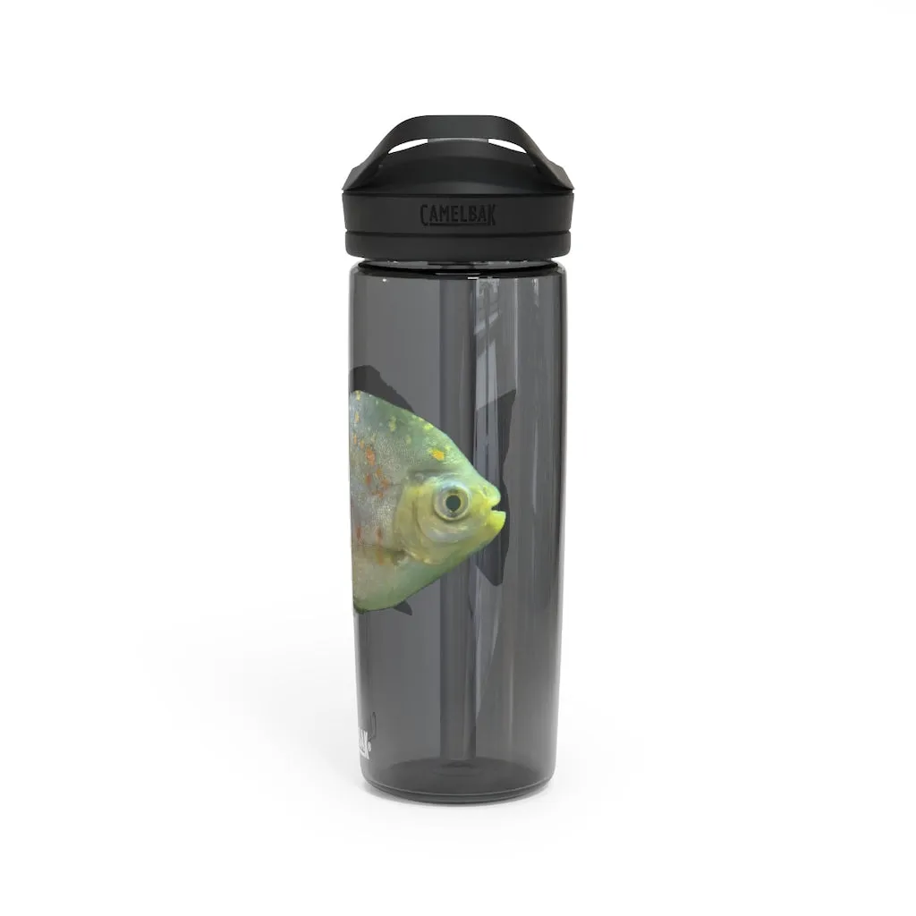 Green Fish with Specs CamelBak Eddy®  Water Bottle, 20oz\25oz