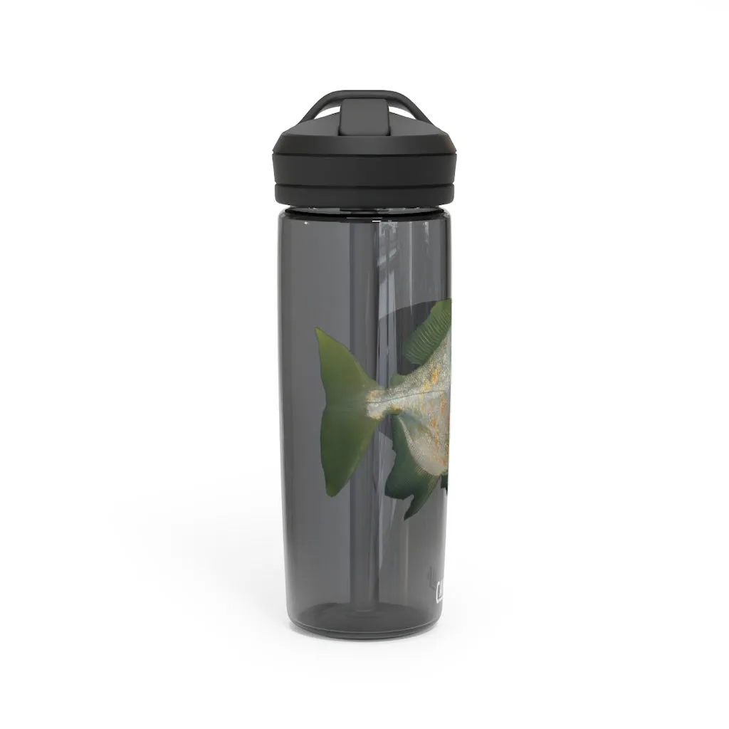 Green Fish with Specs CamelBak Eddy®  Water Bottle, 20oz\25oz