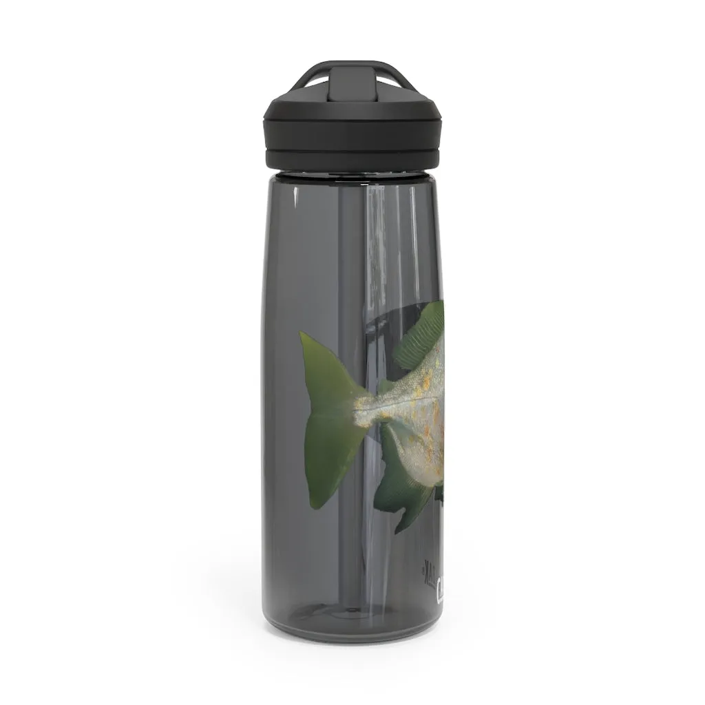 Green Fish with Specs CamelBak Eddy®  Water Bottle, 20oz\25oz