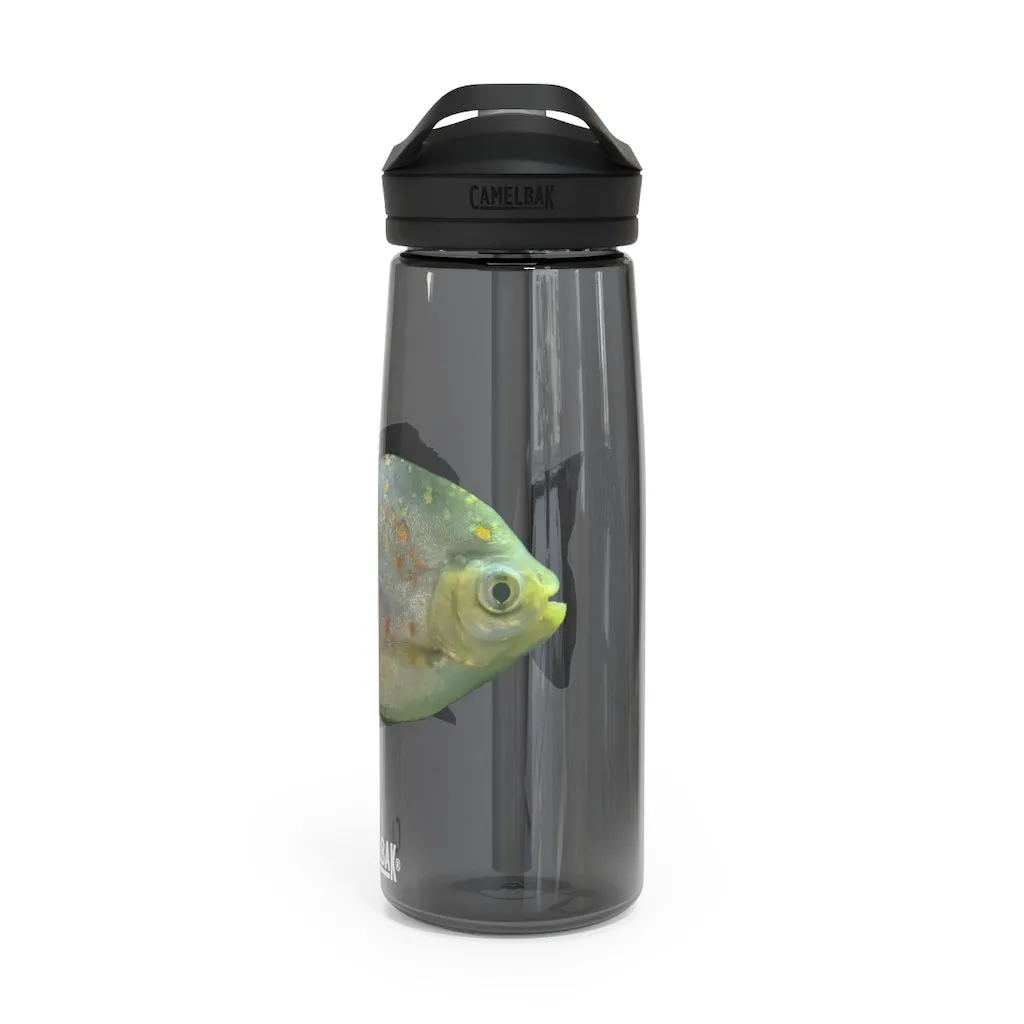 Green Fish with Specs CamelBak Eddy®  Water Bottle, 20oz\25oz