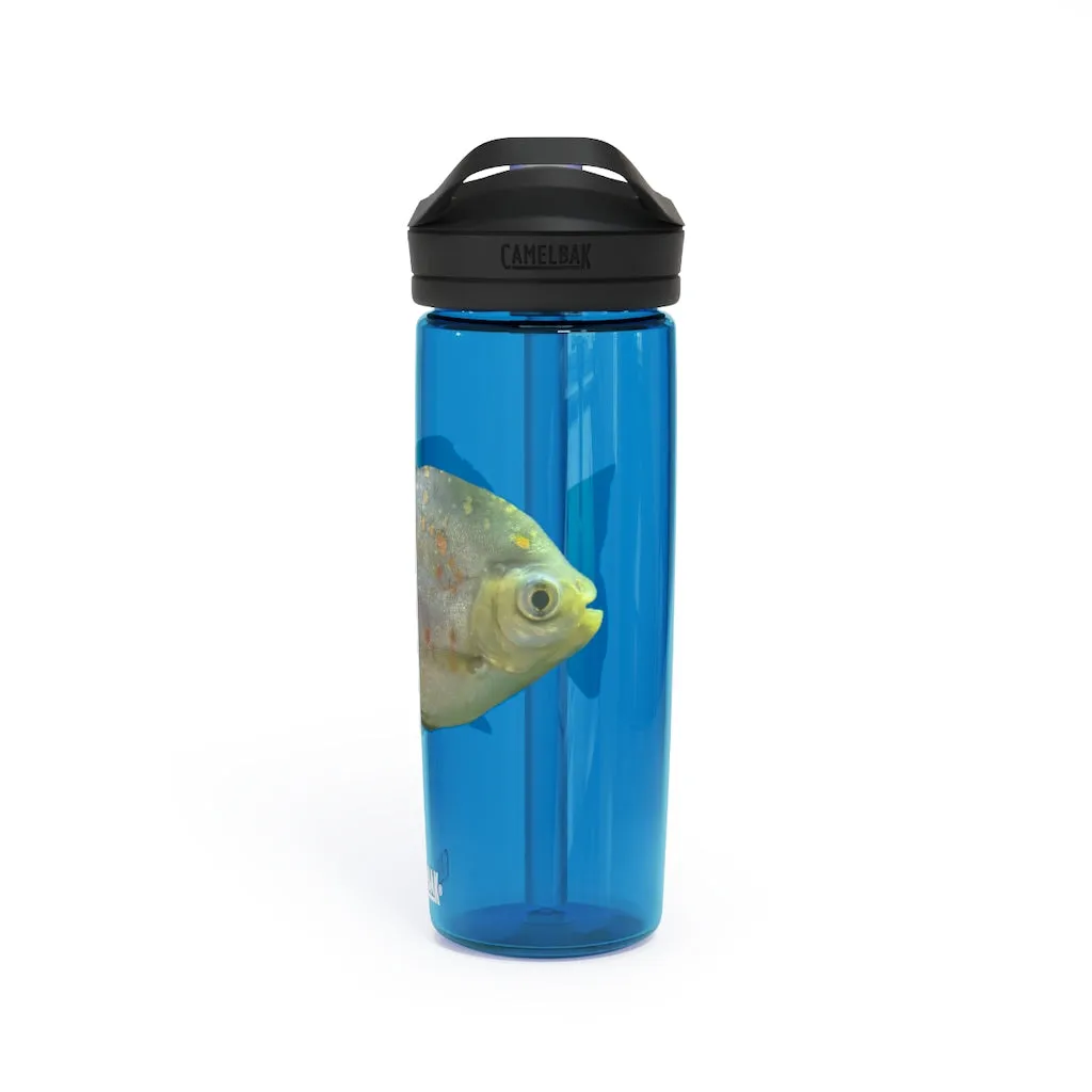 Green Fish with Specs CamelBak Eddy®  Water Bottle, 20oz\25oz