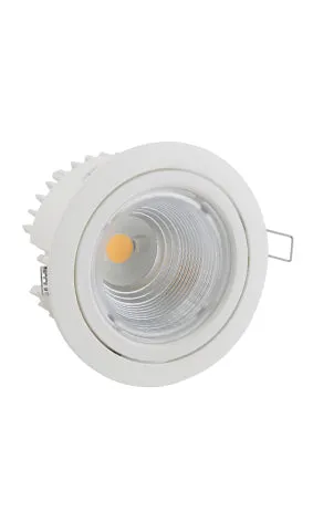 Ivela DixitRA11 Oscill Downlight LED 21w White 4000K