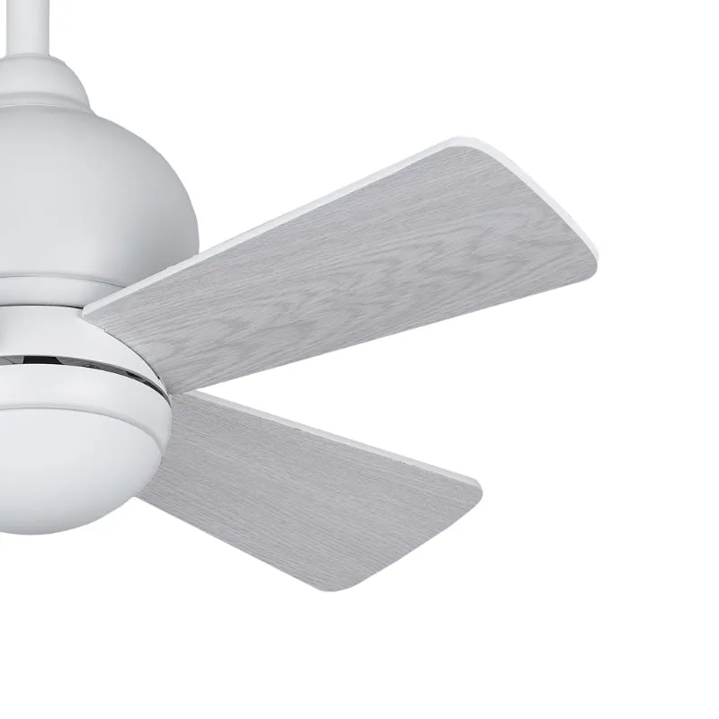 Micro 24" Ceiling Fan by Iconic Fan Company