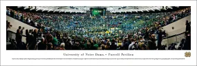 Notre Dame Fighting Irish Basketball "Storm the Court" Panoramic Poster - Blakeway 2013