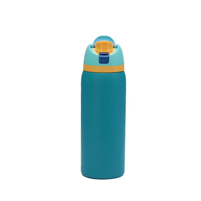 Sip N' Go Insulated Water Bottle