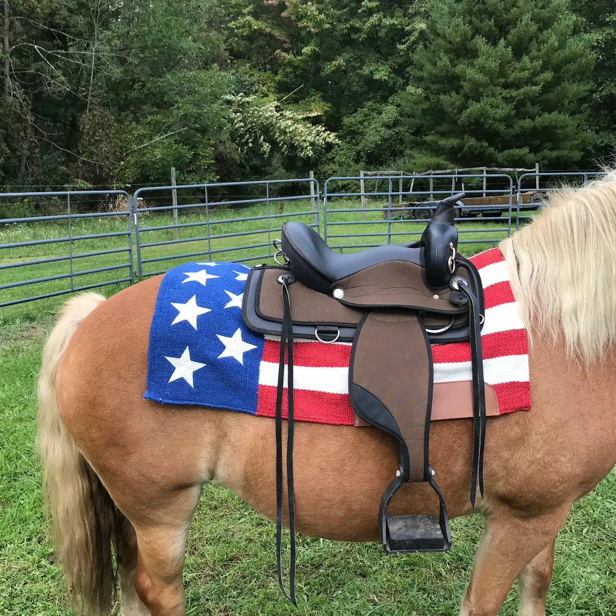 Tahoe Tack 32" x 32" American Pride New Zealand Wool Western Saddle Blanket