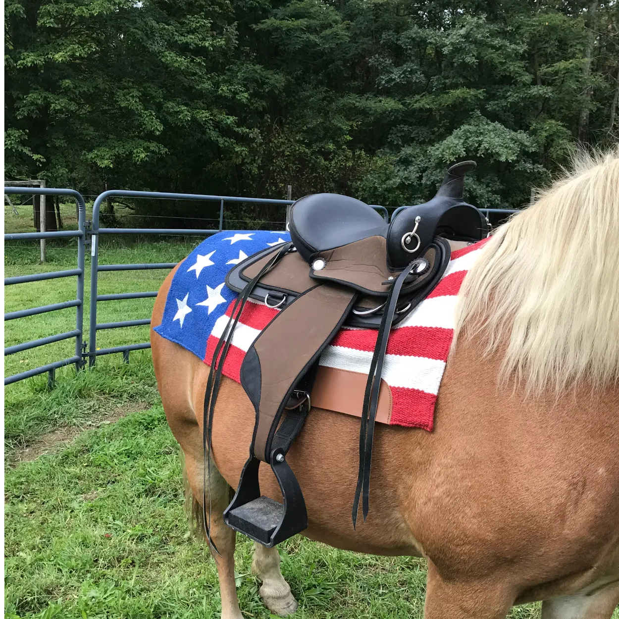 Tahoe Tack 32" x 32" American Pride New Zealand Wool Western Saddle Blanket